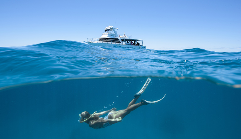 snorkelling-at-hamilton-island-queensland-australia